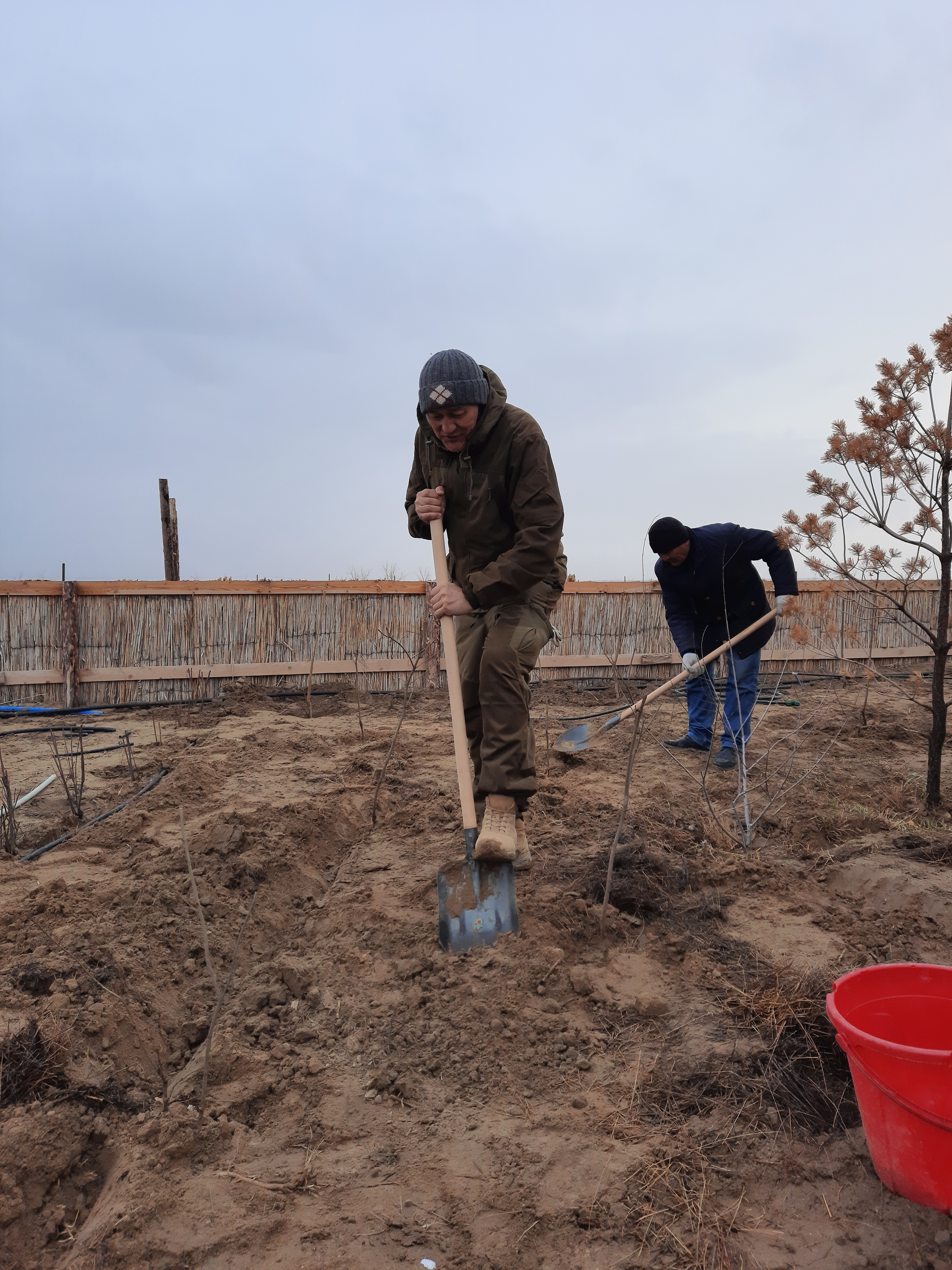 National Nexus demo project in Kazakhstan “Afforestation of the dried bottom of the Aral Sea: piloting a closed root system”