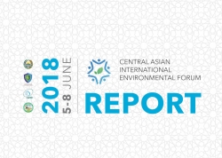 CAIEF 2018 report released