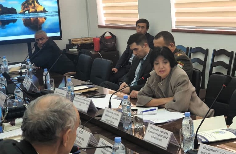 Second meeting of the Pyanj Basin Council