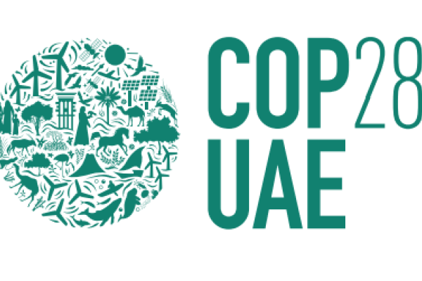 Analytical review of the UNFCCC COP28 climate negotiations for Central Asia. Download
