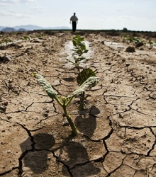 Конвенция по борьбе с опустыниванием в Центральной Азии: возможности для партнерства