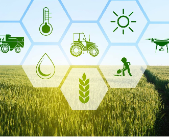 Carboneg: Rise the Yield Improving Soil  