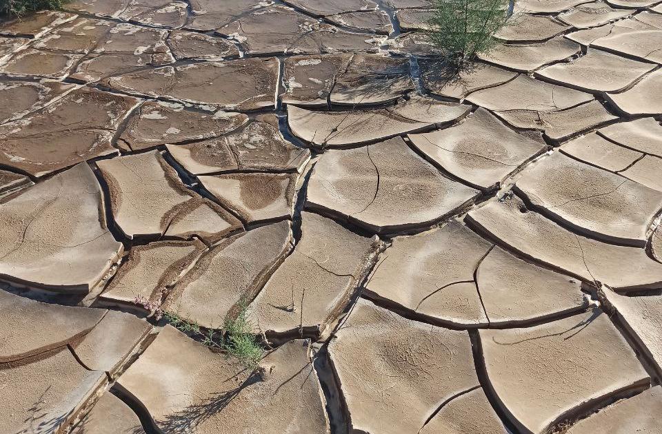 Присоединяйтесь к лекции №21 по продвижению ВЭПЭ Нексус подхода: Как превратить проблемы в возможности - коммерческое использование ила: примеры Туямуюна и Таллимарджана