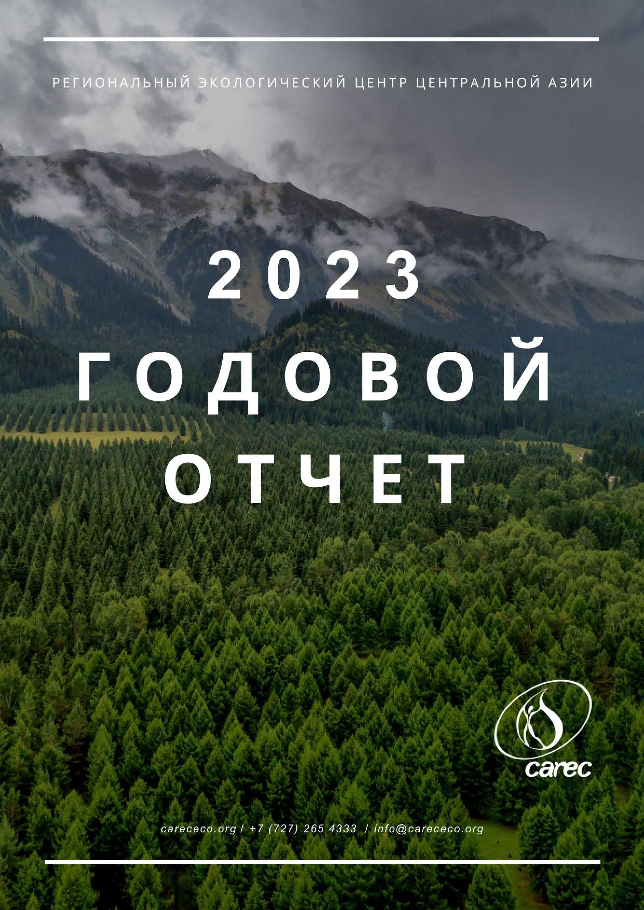 Годовой отчет РЭЦЦА 2023