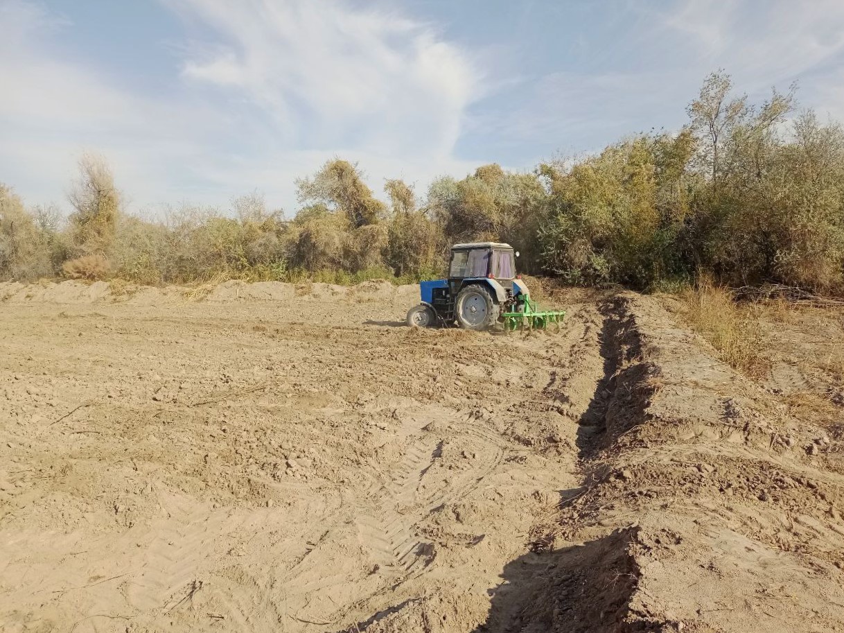 USAID: деятельность по "заботе о почве" Узбекистана