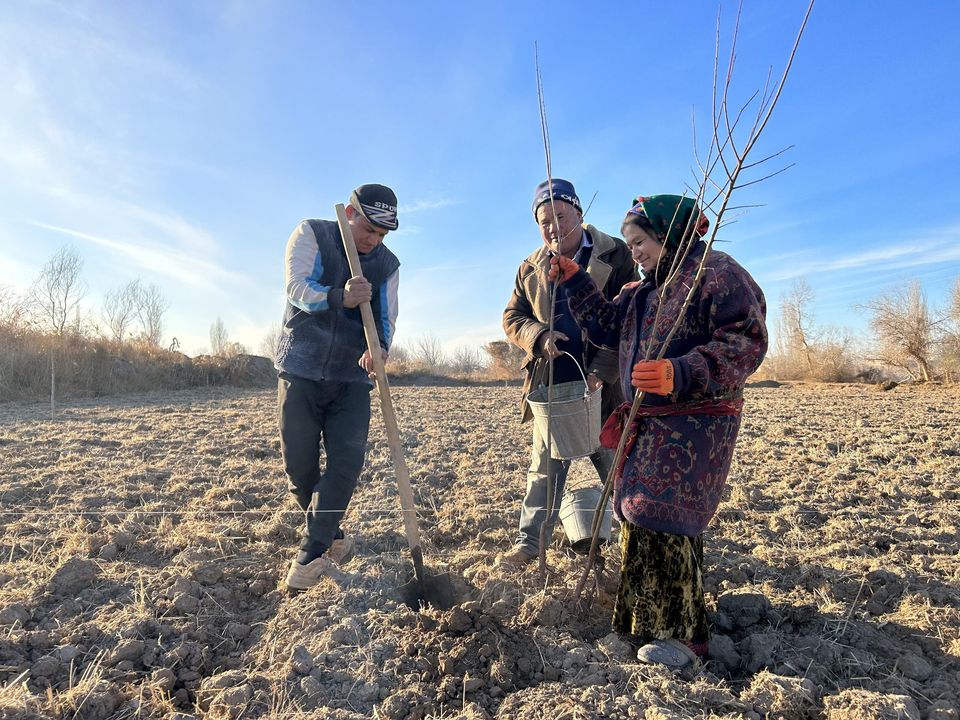 USAID оказал поддержку местным властям Дашогуза в облесении канала Шават