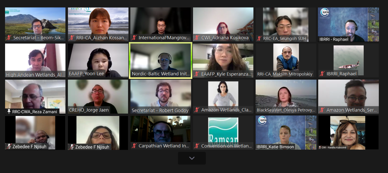 Ежегодное совещание Рамсарских региональных инициатив по планированию: Центральная Азия представила свои результаты