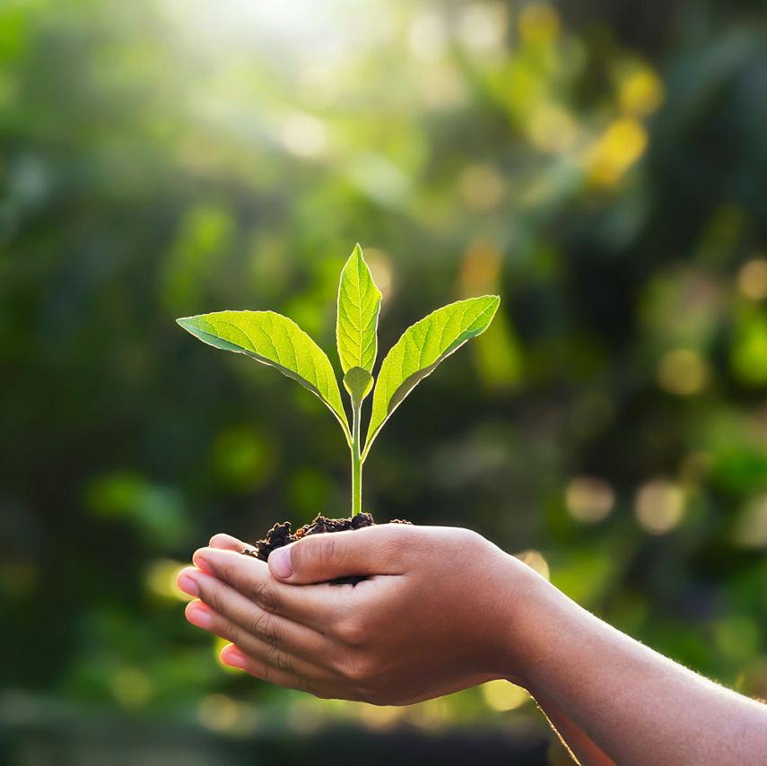 Индивидуальный Консультант - Специалист по окружающей среде (Эколог)