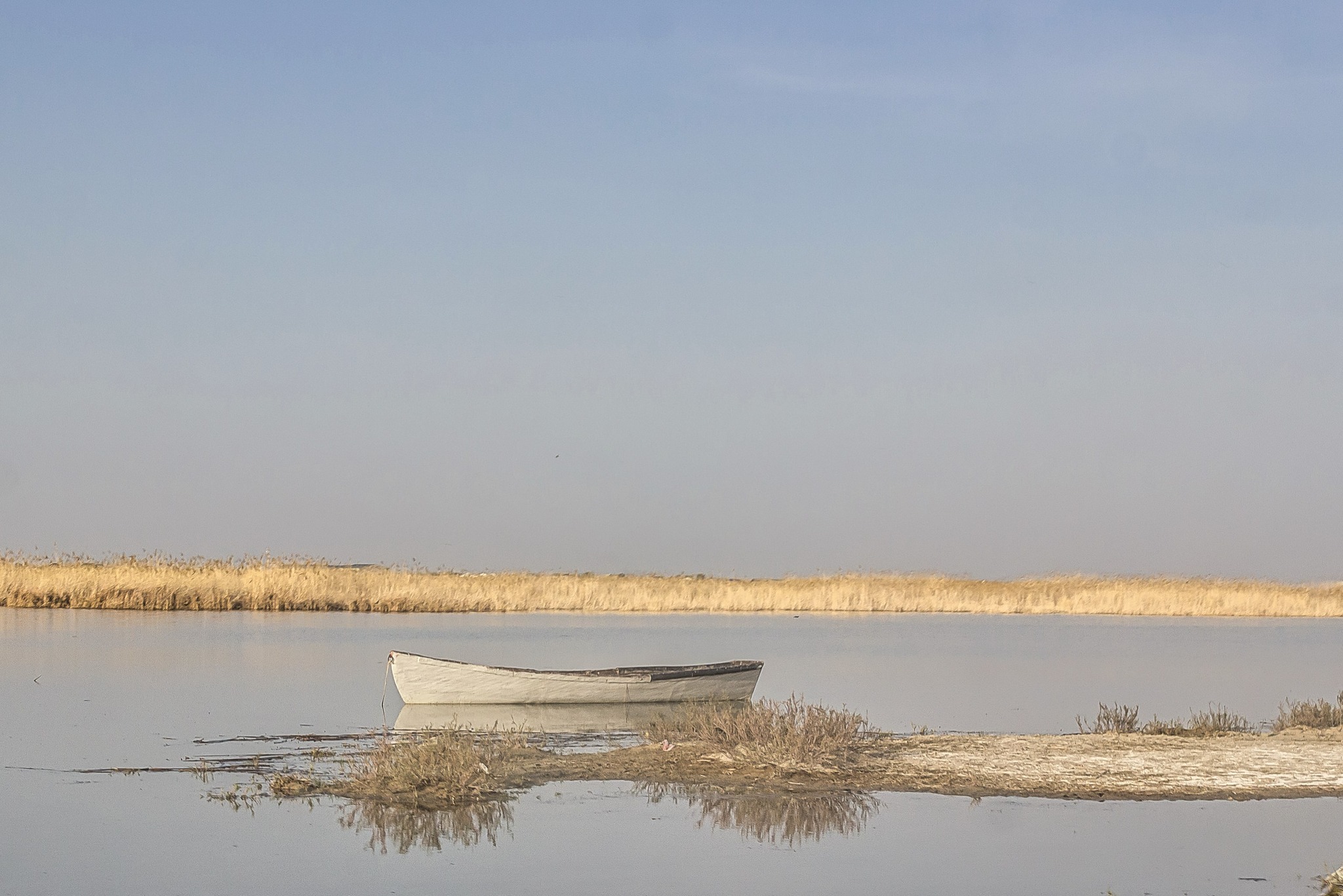 USAID поддержал встречу двусторонней рабочей группы представителей Казахстана и Узбекистана