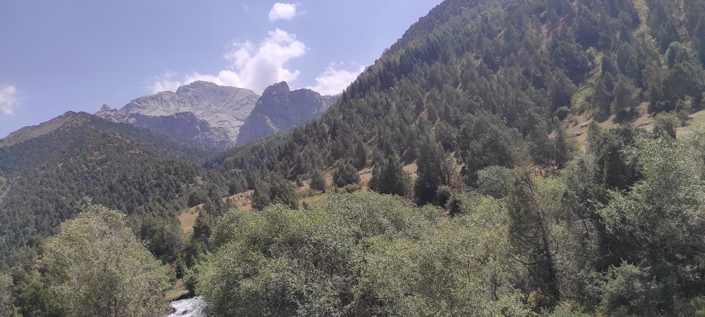 A new project on financial self-sufficiency of protected areas starts in Kyrgyzstan