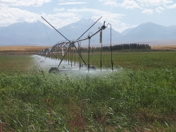 Integrated water resources management and water saving technologies - series of Smart Waters trainings took place