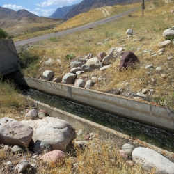 Потеря поливной воды сократиться значительно в Жамбылской области