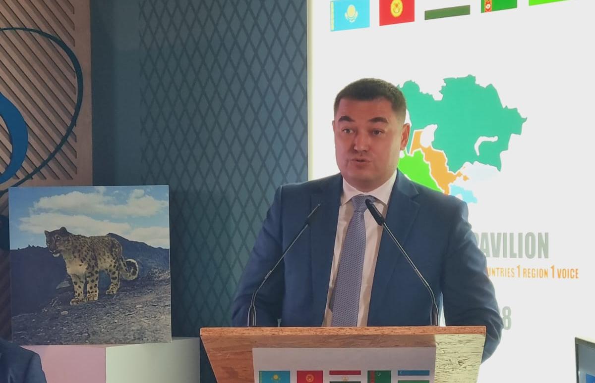 UNFCCC COP28: Monitoring climate change impacts in Central Asia’s cryosphere