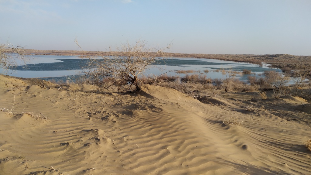 Всемирный день водно-болотных угодий: достижения РРИ-ЦА за прошедший год и планы на 2024 год