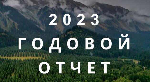 Годовой отчет РЭЦЦА 2023