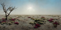 Uzbekistan: to make salt marshes bloom