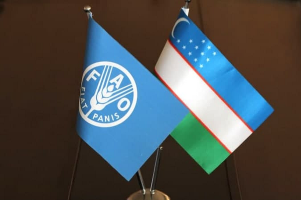 FAO and Uzbekistan join forces to restore ecosystem