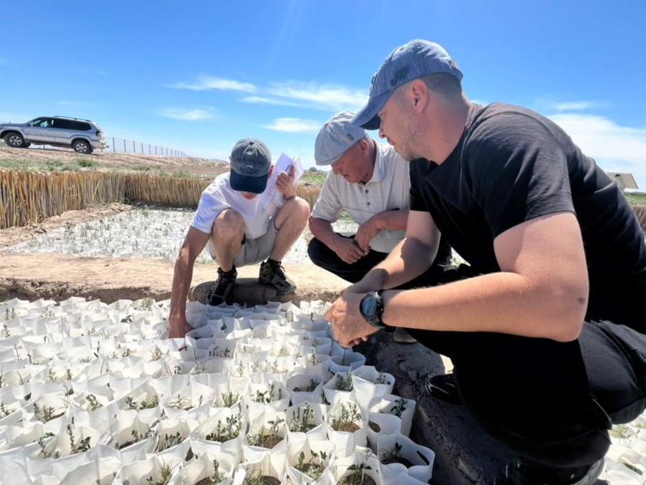 Всемирный день борьбы с опустыниванием и засухой