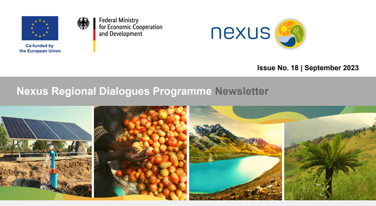 Nexus Newsletter (Final issue No. 18)