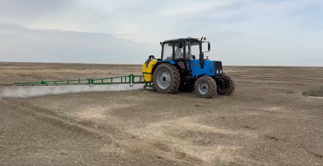 USAID initiated the first application of pesticides at the Oasis