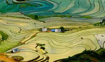 SDGAcademyX: Transforming Our World: Achieving the Sustainable Development Goals