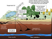 Rieks Bosch: The carbon sequestration level in Central Asia is low but the territories are large