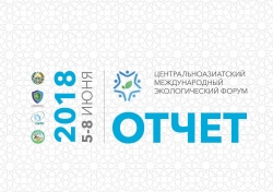 Опубликован отчет ЦАМЭФ-2018