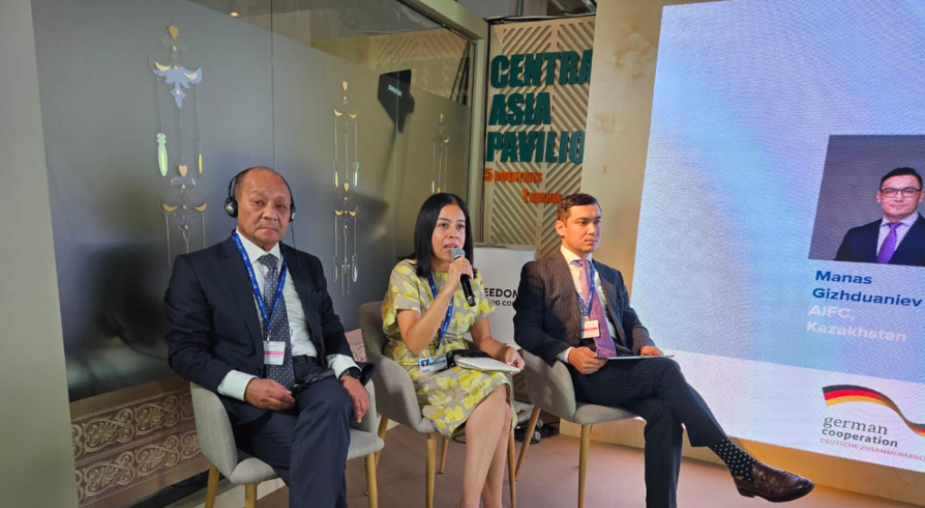How to Boost Climate Financing in Central Asia?