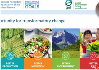 Unlocking GEF/GCF Opportunities for Central Asia