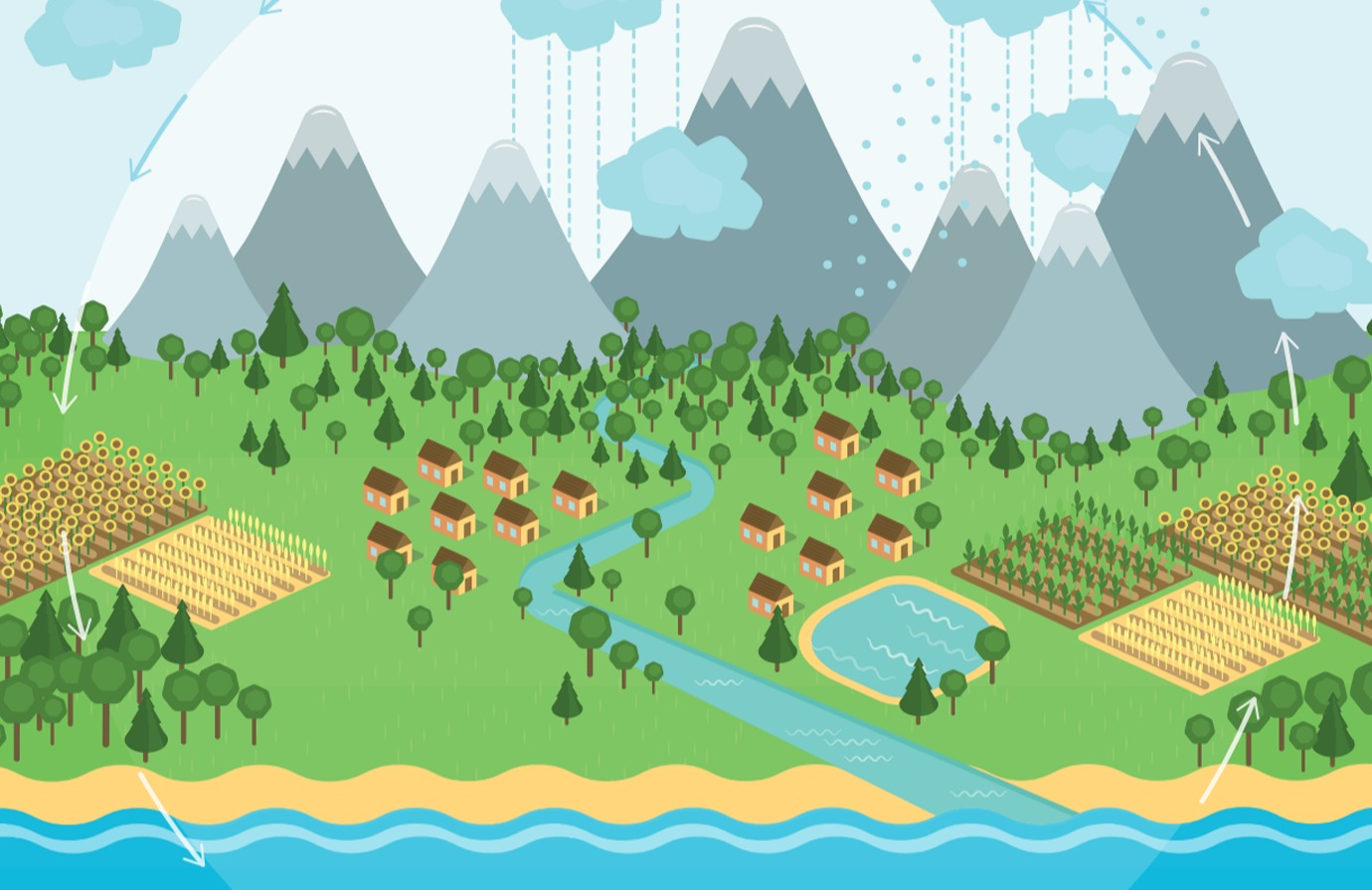 Forest and Water Nexus – Introduction